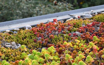 the cost of Buckden green roof installation