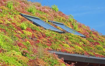 Buckden living roof systems