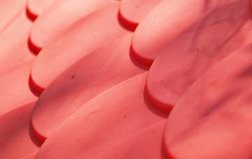 Buckden plastic roof costs