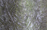 Buckden fibreglass roof work